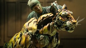 The tiger puppet in “Life of Pi,” coming to the Hippodrome this winter