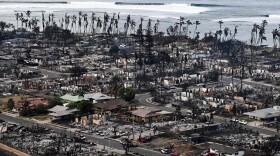 An aerial image taken on Friday shows destroyed homes and buildings burned to the ground in Lahaina in the aftermath of wildfires in western Maui, Hawaii, on August, 2023.