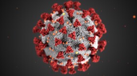 An artist's rendering of the original SARS-CoV-2 virus responsible for the COVID-19 pandemic. (CDC)