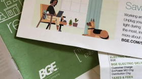 According to the report, BGE is not prioritizing efficiency programs for customers who face the greatest burdens from high energy costs. Photo by Sarah Y. Kim/WYPR.