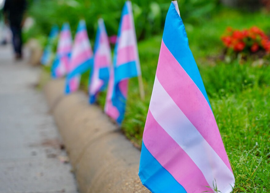 Transgender pride flags in Washington, DC