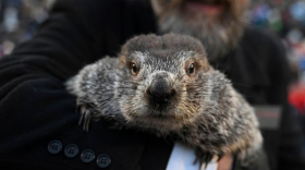 Groundhog Club handler A.J. Dereume holds Punxsutawney Phil, the weather prognosticating groundhog, during the 137th celebration of Groundhog Day in 2023. (Barry Reeger/AP)