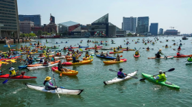 Paddlers make the five mile round trip journey from Canton Waterfront Park to the Inner Harbor during the annual Floatilla on June 10, 2023. (Kaitlin Newman/The Baltimore Banner)