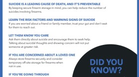 Part of the suicide prevention pamphlet from Anne Arundel County